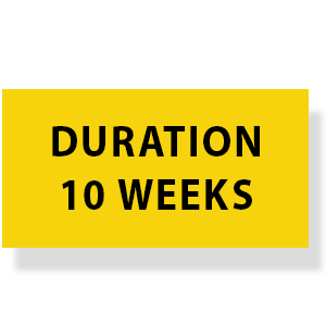 10 weeks duration | Good Old Geek | SMM course