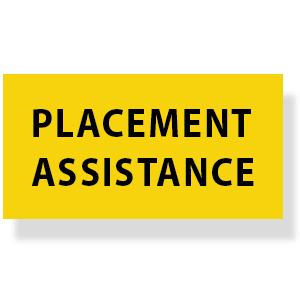 Placement Assistance | Good Old Geek | Best SMM Course