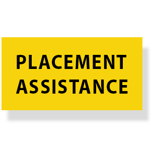 Placement Assistance Placement Assistance | Good Old Geek | Best SMM Course